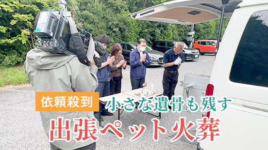 MBS毎日放送「よんチャンTV」