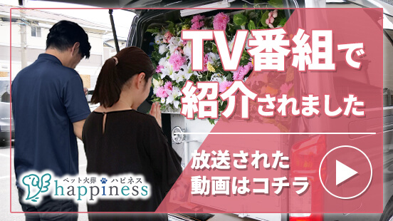 テレビ大阪「やすとものどこいこ！？」