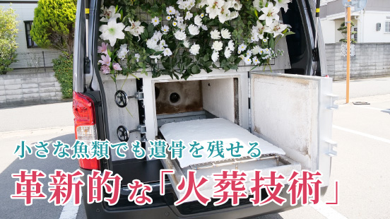 ニュースサイト「まいどなニュース」