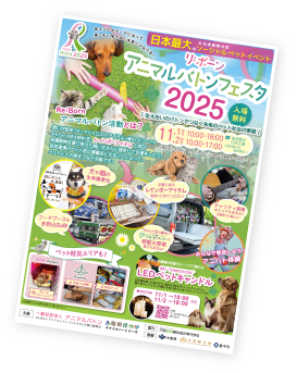 Re:BornアニマルバトンFESTA2025