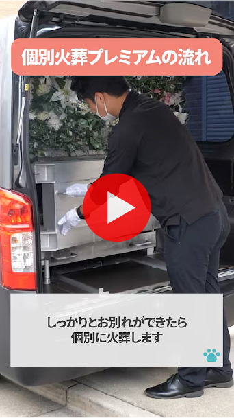 実際の火葬の流れ動画