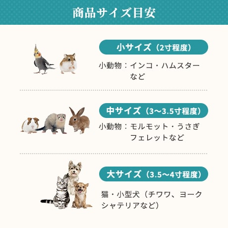 オーロラ骨壺04