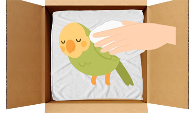 鳥・小鳥のエンゼルケア