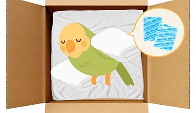 鳥・小鳥のエンゼルケア