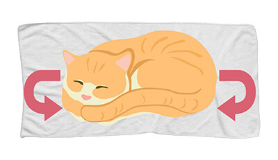 愛猫のエンゼルケア