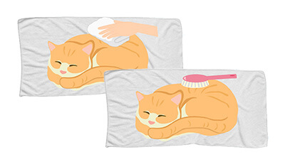 愛猫のエンゼルケア