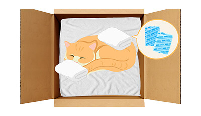 愛猫のエンゼルケア