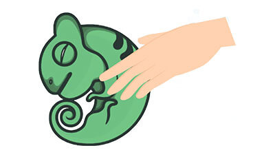 カメレオンちゃんのエンゼルケア