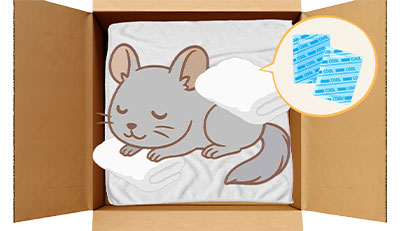 チンチラちゃんのエンゼルケア