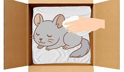 チンチラちゃんのエンゼルケア