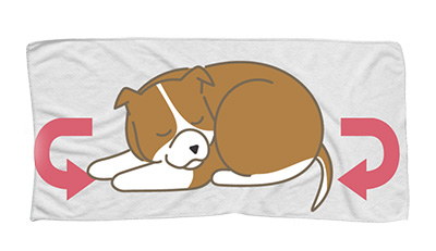 愛犬のエンゼルケア