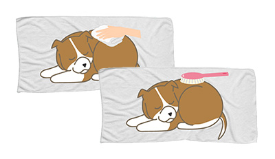 愛犬のエンゼルケア