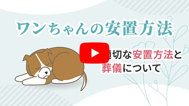 ワンちゃんが亡くなったら何をすればいい？安置方法と葬儀について