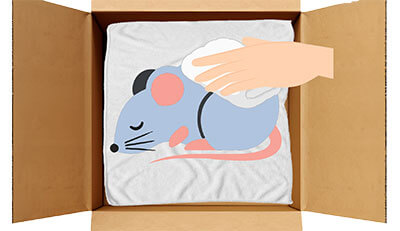 ファンシーラットちゃんのエンゼルケア