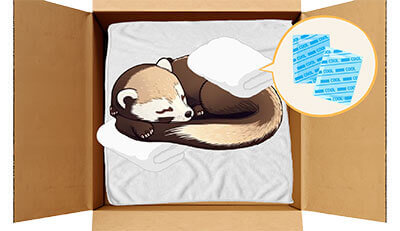 フェレットちゃんのエンゼルケア