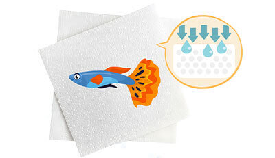 熱帯魚のエンゼルケア