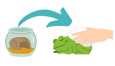 カエルちゃんのエンゼルケア