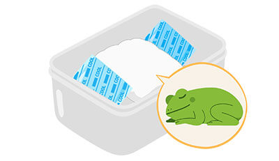 カエルちゃんのエンゼルケア