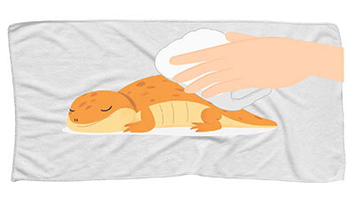 ヤモリちゃんのエンゼルケア