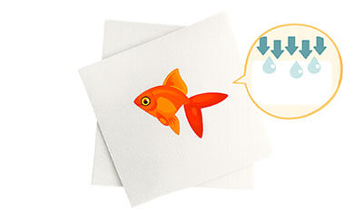 淡水魚(金魚など)のエンゼルケア