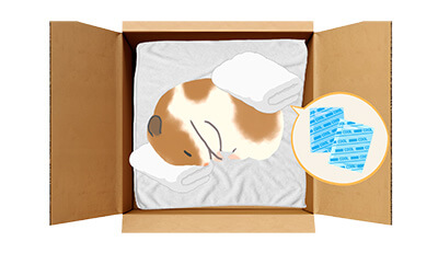 ハムスターちゃんのエンゼルケア