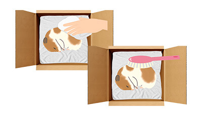 ハムスターちゃんのエンゼルケア