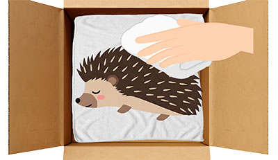 ハリネズミちゃんのエンゼルケア