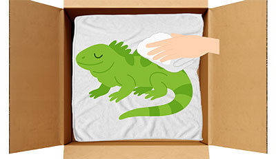 イグアナちゃんのエンゼルケア