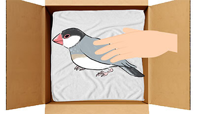 文鳥ちゃんのエンゼルケア