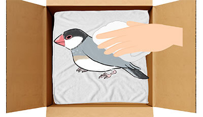 文鳥ちゃんのエンゼルケア