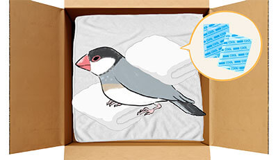 文鳥ちゃんのエンゼルケア