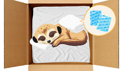 ミーアキャットちゃんのエンゼルケア