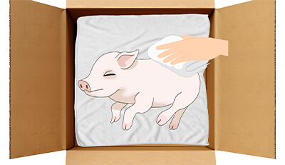 ミニブタちゃんのエンゼルケア