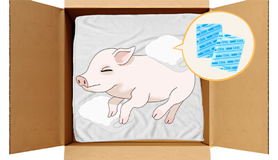 ミニブタちゃんのエンゼルケア