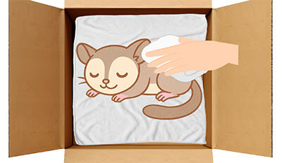 モモンガちゃんのエンゼルケア