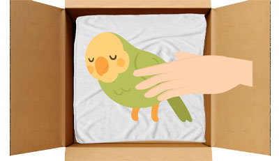 インコちゃんのエンゼルケア