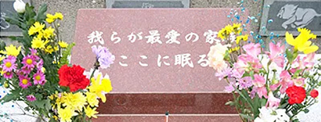 合同火葬