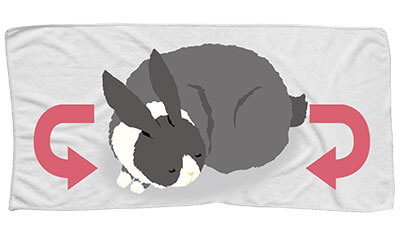 うさぎちゃんのエンゼルケア