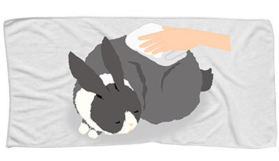 うさぎちゃんのエンゼルケア