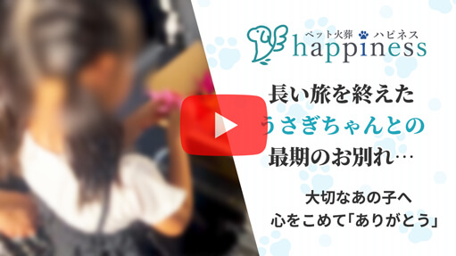 火葬事例 うさぎ