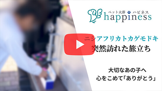 火葬事例 ヤモリ