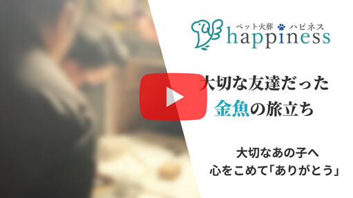 火葬事例 金魚