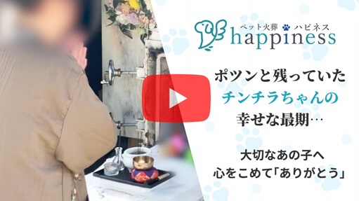 火葬事例 チンチラ