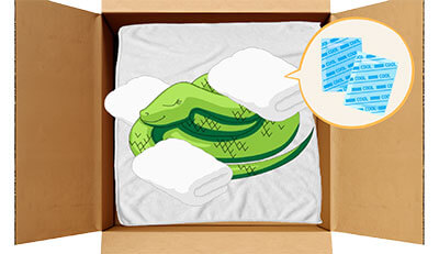 ヘビちゃんのエンゼルケア