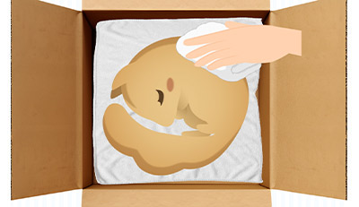 リスちゃんのエンゼルケア