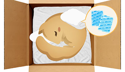 リスちゃんのエンゼルケア