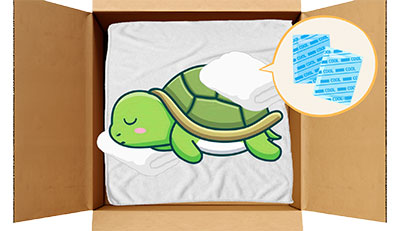 カメちゃんのエンゼルケア