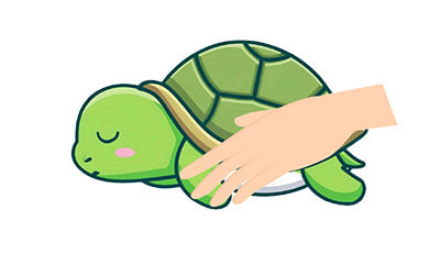 カメちゃんのエンゼルケア