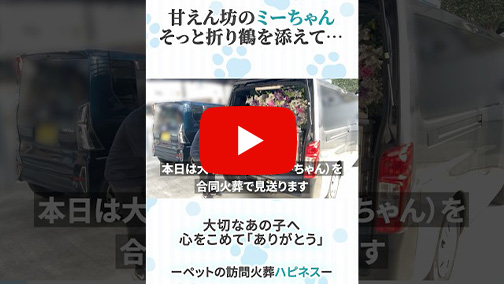 火葬事例紹介/合同火葬02