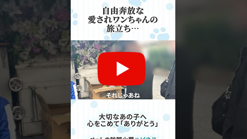 火葬事例紹介/個別火葬ショート